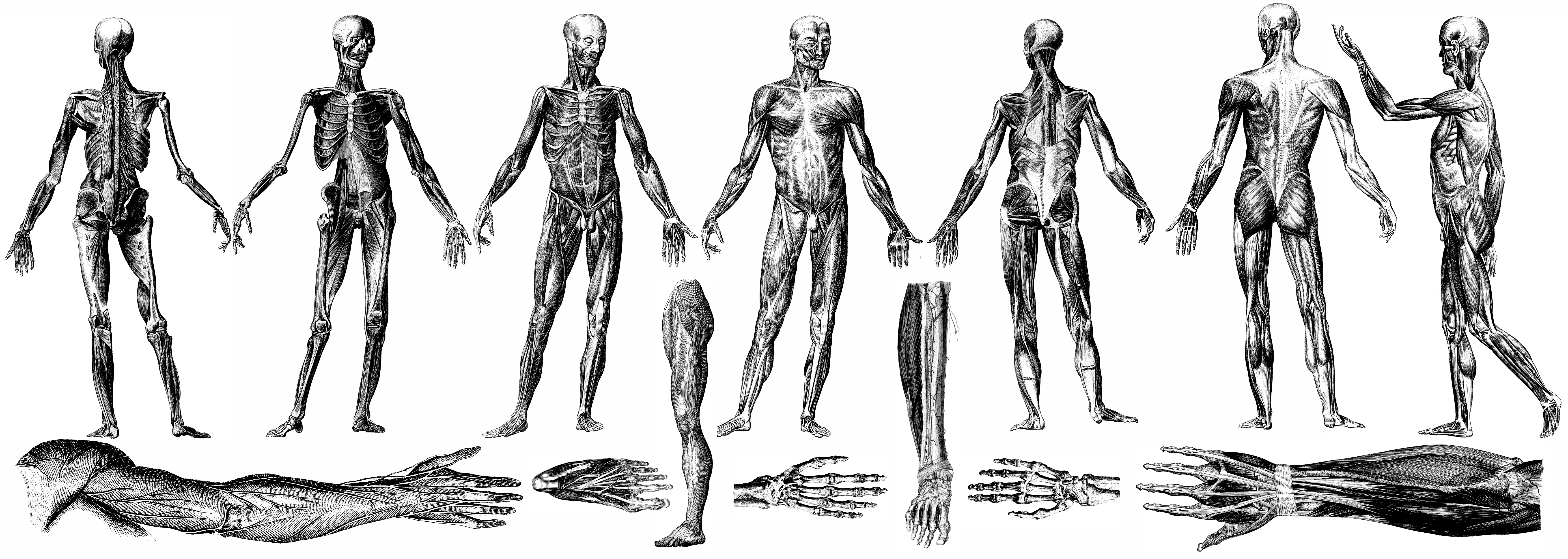 Anatomía de una última vez